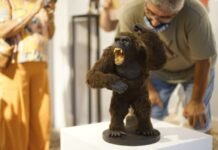 En la Sala Mors quedó inaugurada la Expo Nube 2022