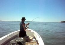 XXIV edición del Concurso Integración de Pesca del Surubí con Devolución en Ituzaingó