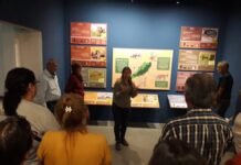 Continúa con gran éxito el programa turismo social en Corrientes