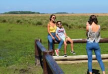 Corrientes disfruta de un exitoso fin de semana largo en honor al Día del Padre y el Día de la Bandera