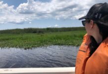 Preparan un Programa de beneficios para la compra anticipada de viajes y servicios turísticos