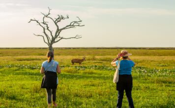 Corrientes entre los destinos cercanos más elegidos durante el fin de semana extra largo