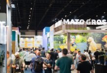 La Provincia prepara una misión comercial del “Destino Corrientes” en la ciudad de San Pablo