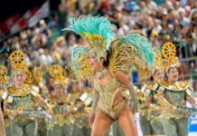 El ministro Braillard Poccard destacó el desarrollo de la fiesta del carnaval en toda la provincia