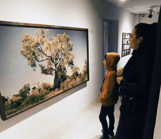 ArteCo 2026 anunció los artistas, colectivos y galerías seleccionados