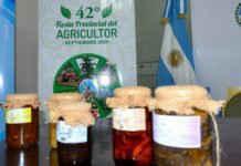 Fiesta Provincial del Agricultor en Carolina: una celebración de las raíces y el trabajo de la tierra